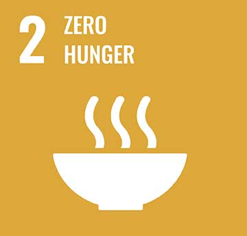 UN Development Goal - No hunger icon