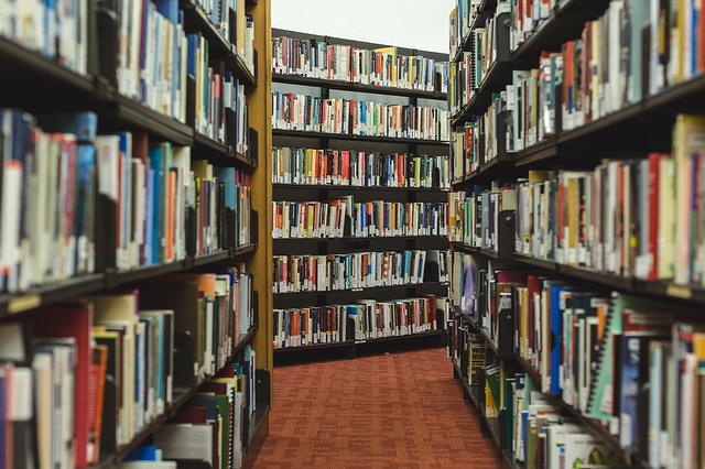 Shelves of books.