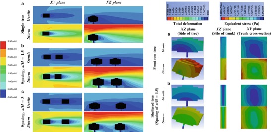 Image of CFD research carried out on the aerodynamic loading on trees.