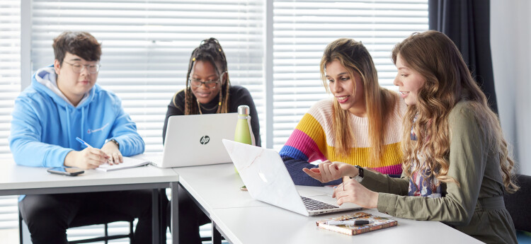 Image of students looking at laptops
