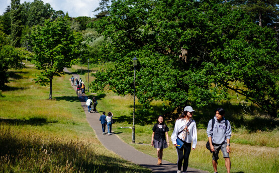 Students walking in the park