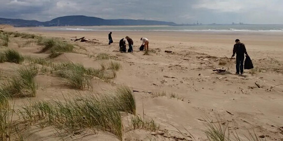 Students on a beach picking up litter