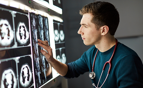 Student doctor reviewing brain scans