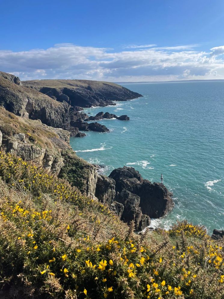 View in Gower of cliffs and sea