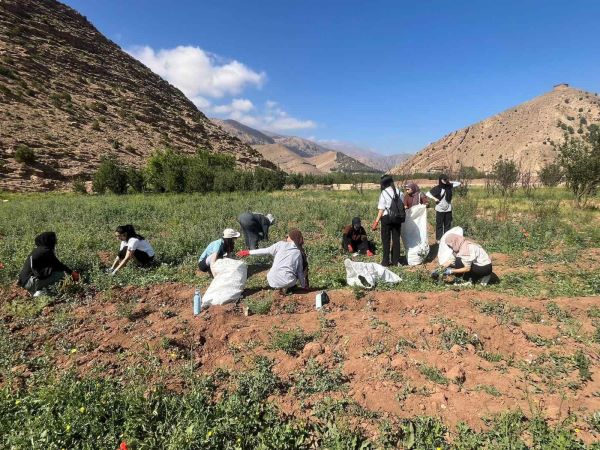 Students farming on land with mountains in background