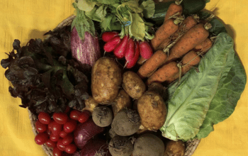 Box of colourful vegetables