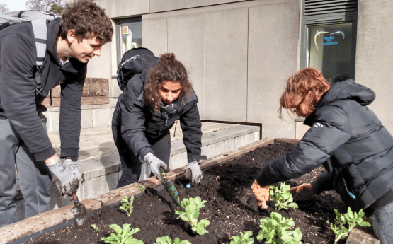 Three people at the raised beds between Horton and Penmaen building 