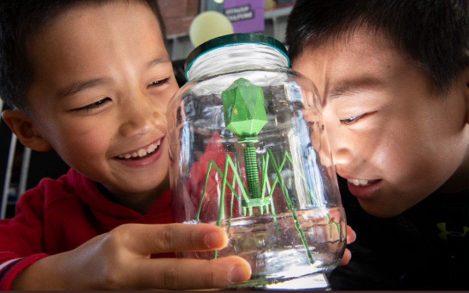 two boys looking at the jar with a green spider