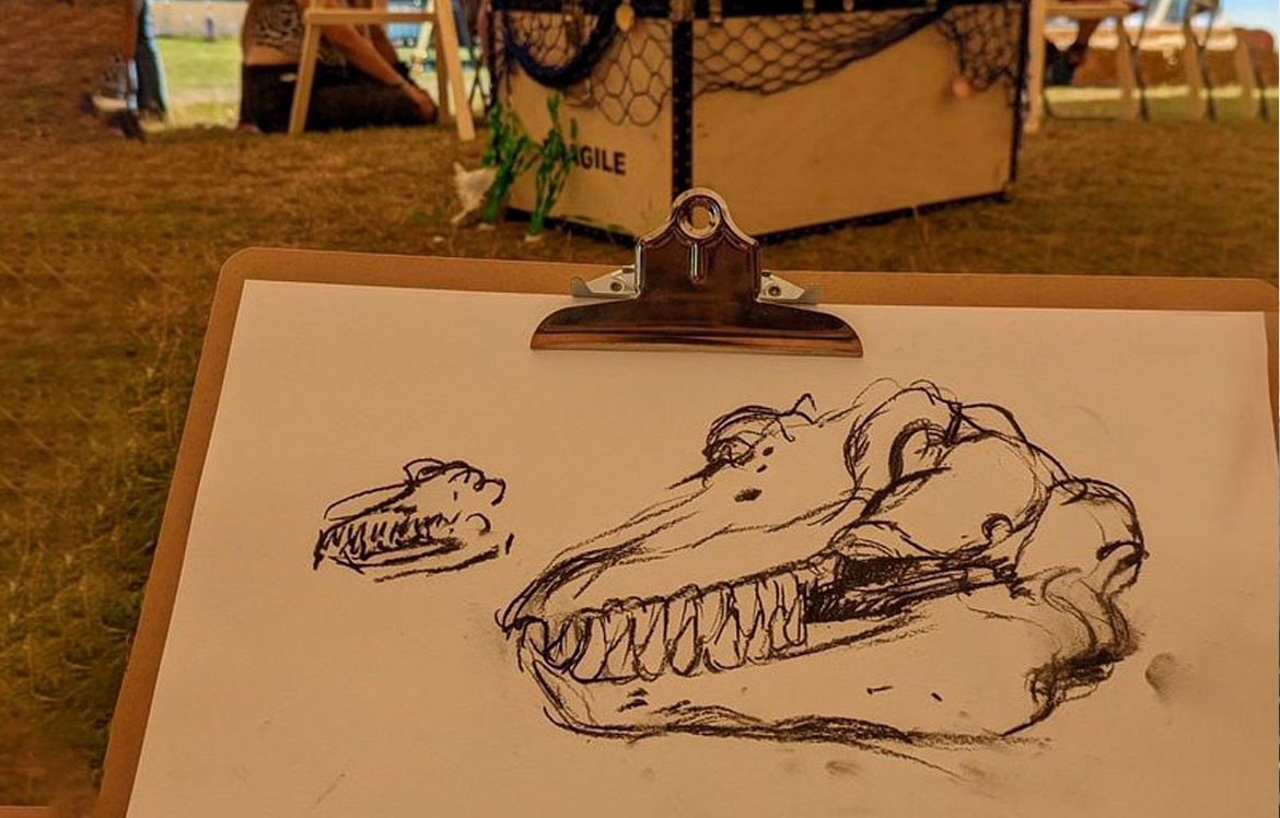 clipboard with the orca skull drawing