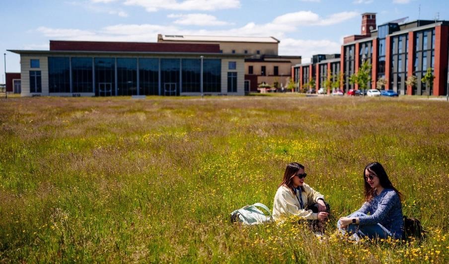 Students sat on grass on-campus