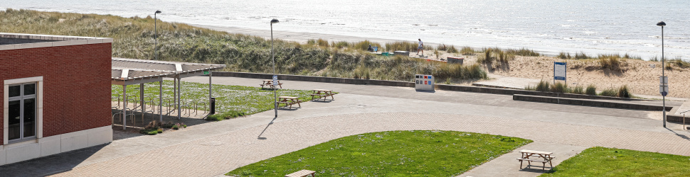 bay campus image for place holding