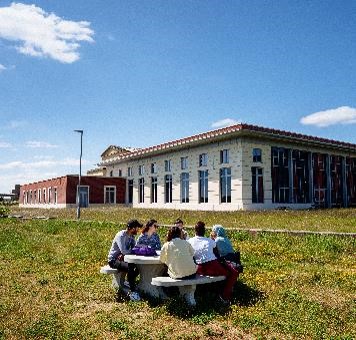 Students sitting outside on Bay Campus