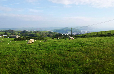 Aberystwyth from Constituion Hill 