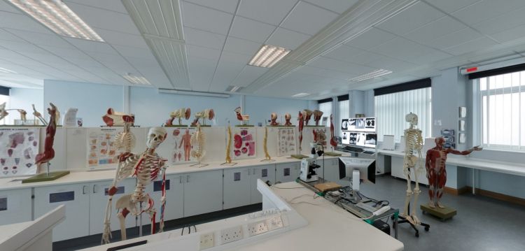 Anatomy teaching laboratory with skeletal and anatomical models