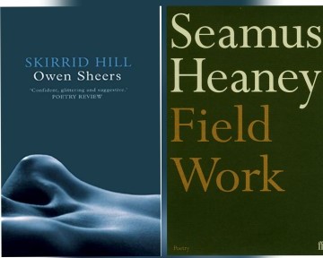 Book covers of Skirrid Hill and Field Work with a play button 