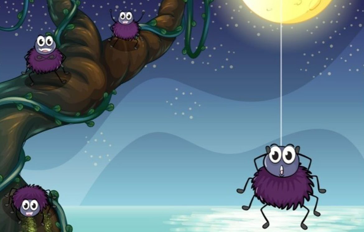 Cartoon of 3 spiders at night