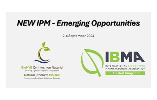 New IPM 2024 - Emerging Opportunities